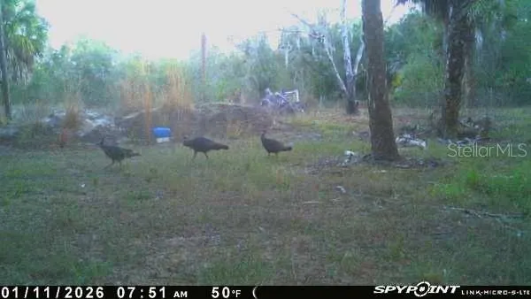 8538 SW OPOSSUM TRL