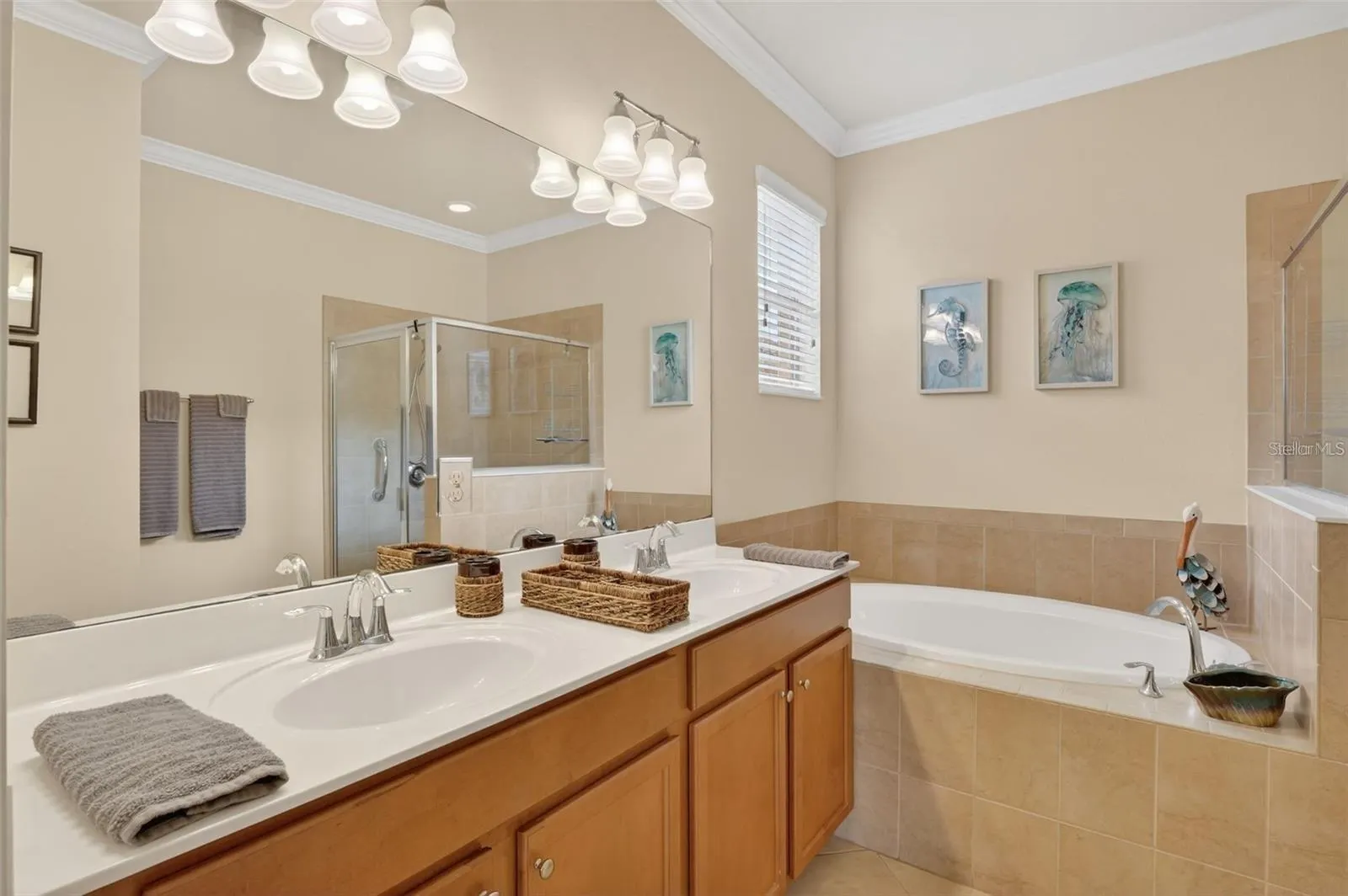 3535 DANDOLO CIR