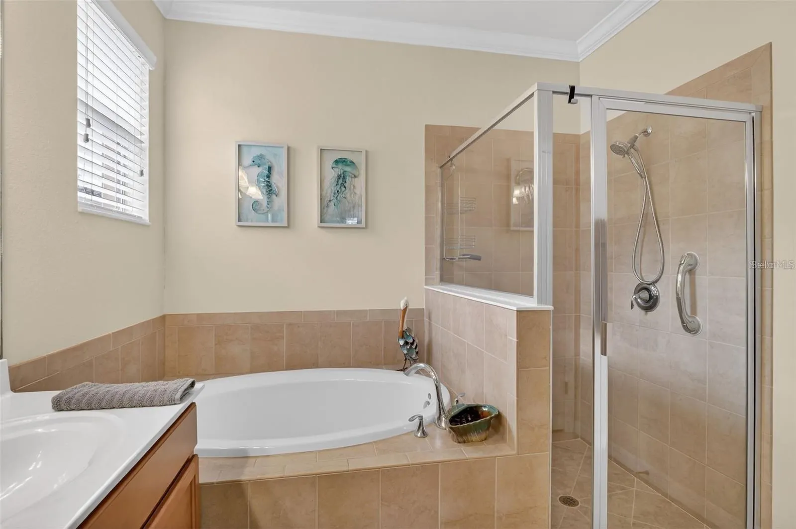 3535 DANDOLO CIR
