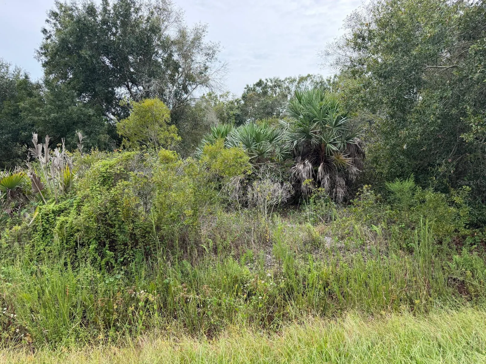 14616 NW 260TH ST
