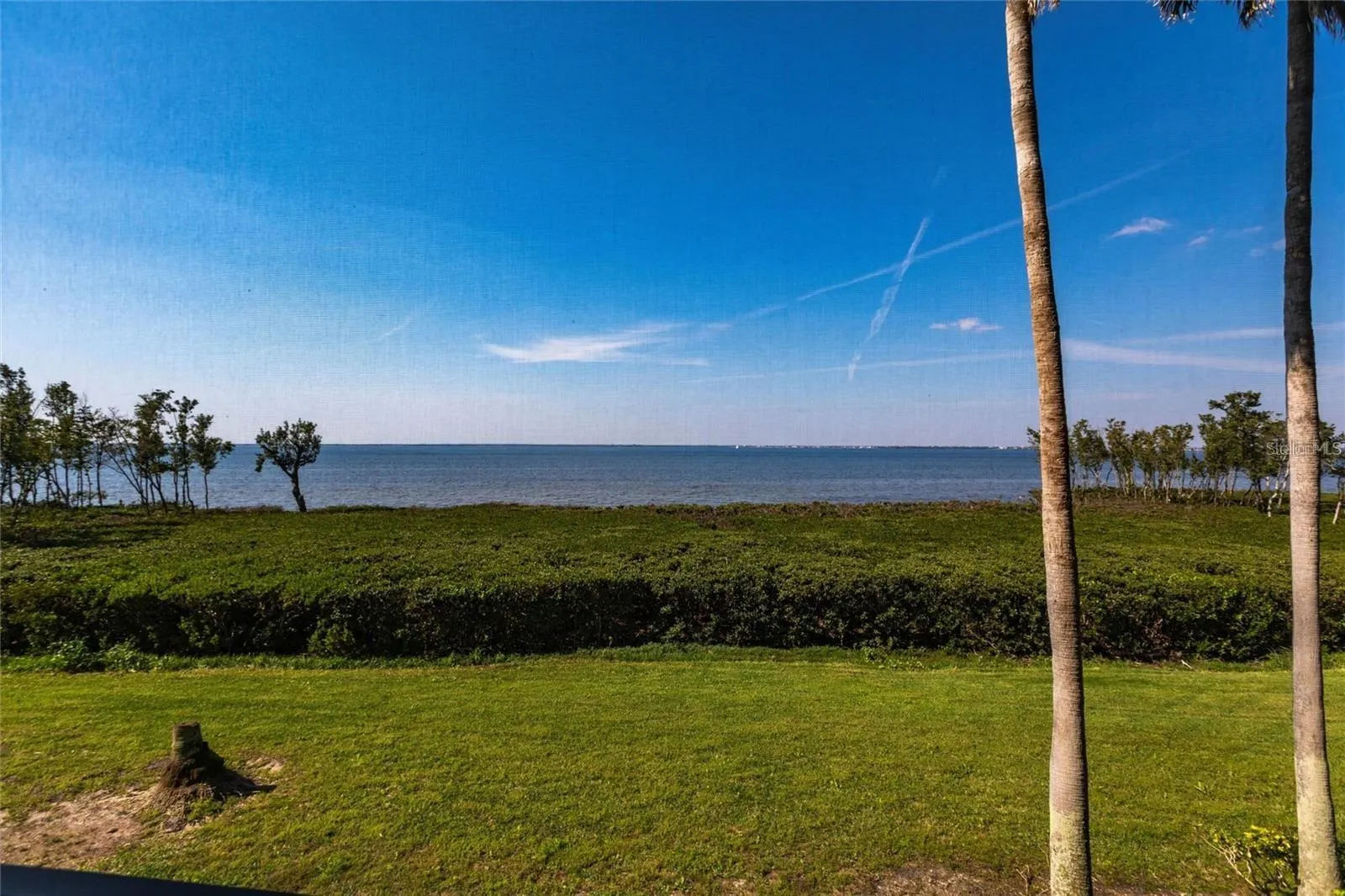 93 VIVANTE BLVD #9341 #9341