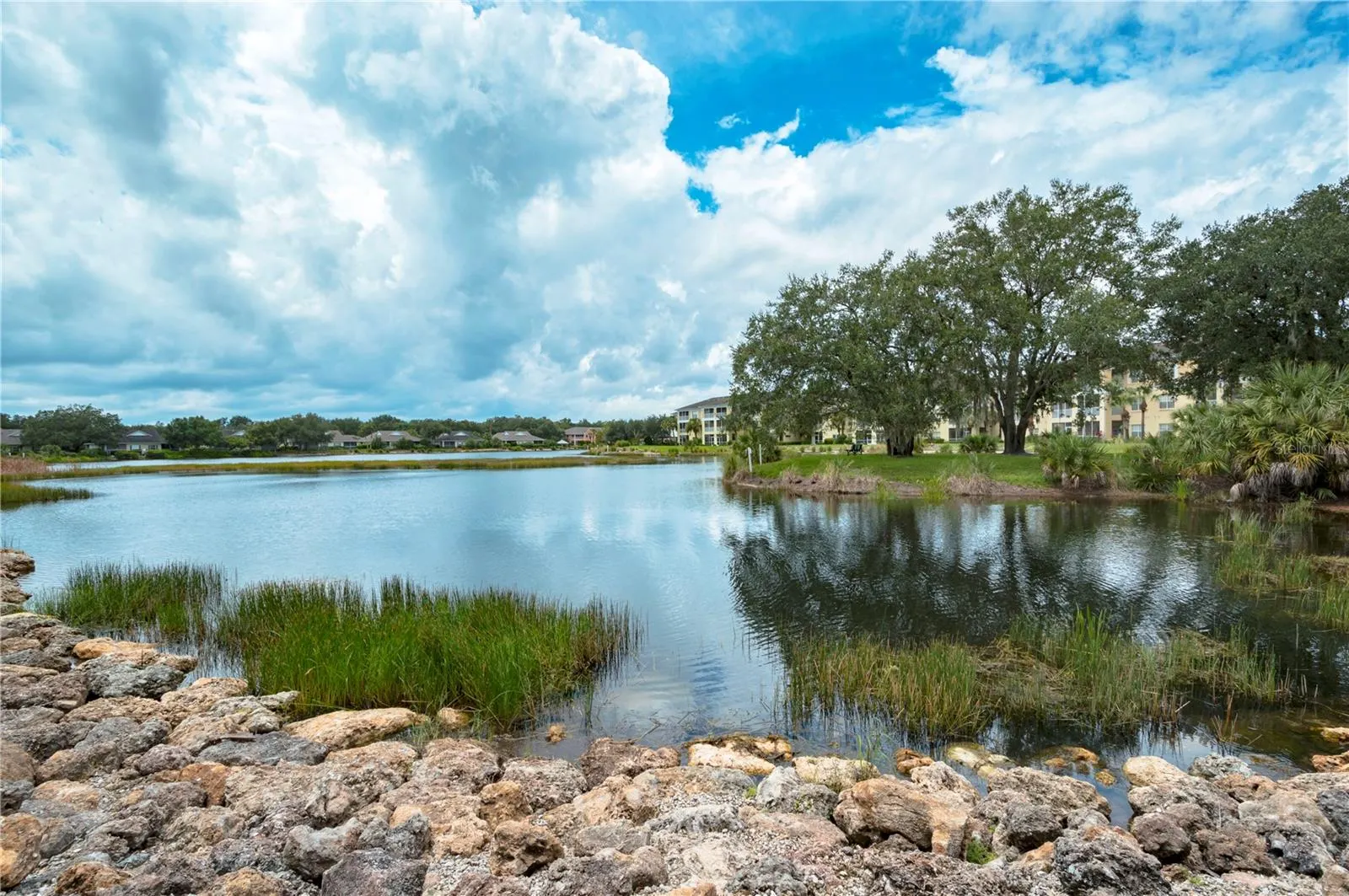 19345 WATER OAK DR #106 #106