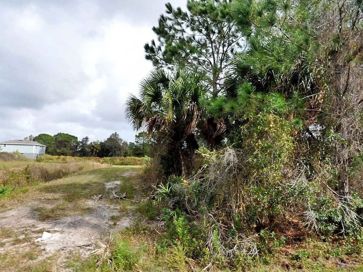 DEER RUN LOT 44 RD