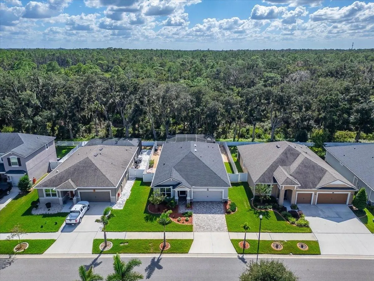 12961 SATIN LILY DR