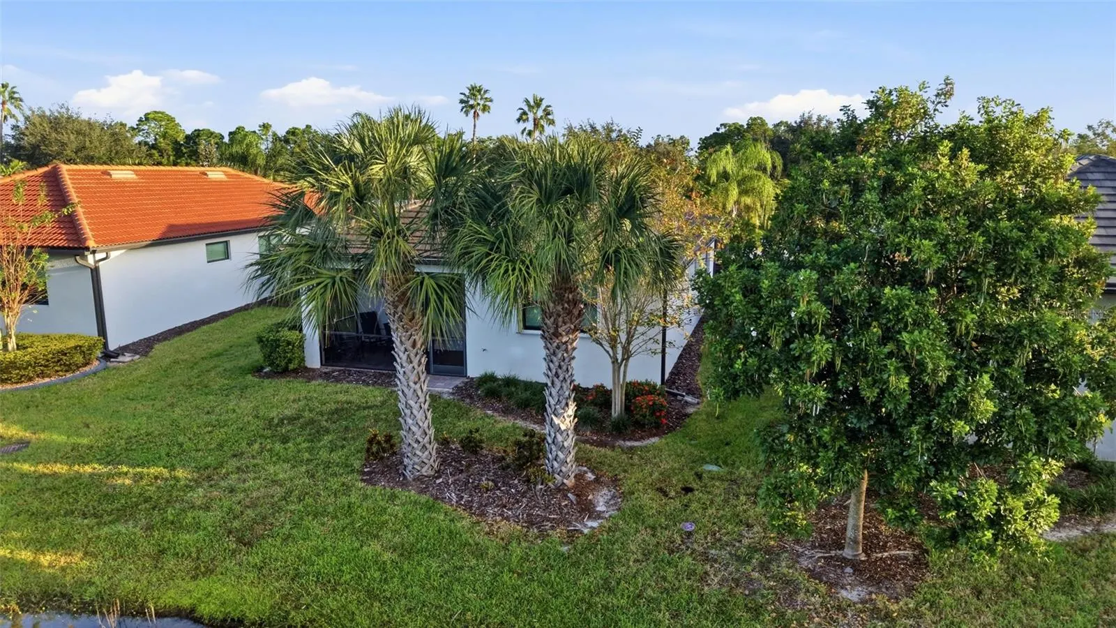 2589 DAISY DR