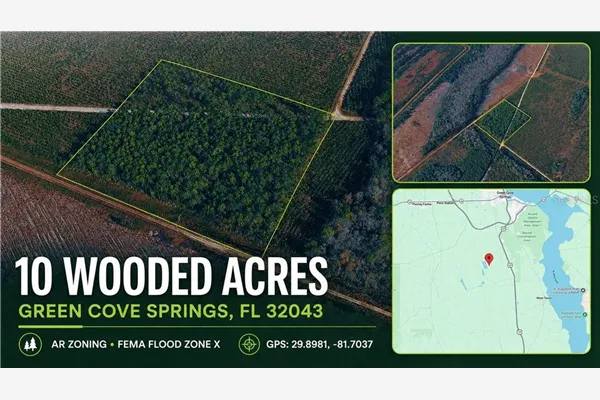0 HIGHWAY 17S, GREENCOVESPRINGS FL 32043