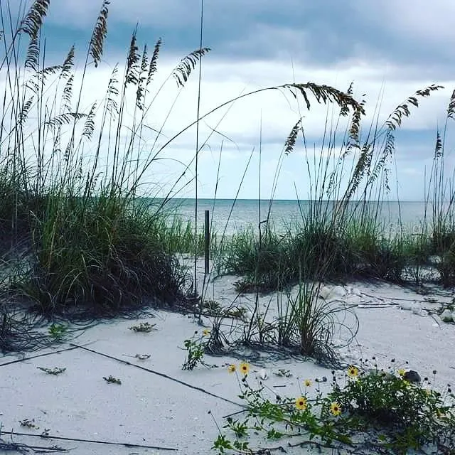 20 N GULF BLVD