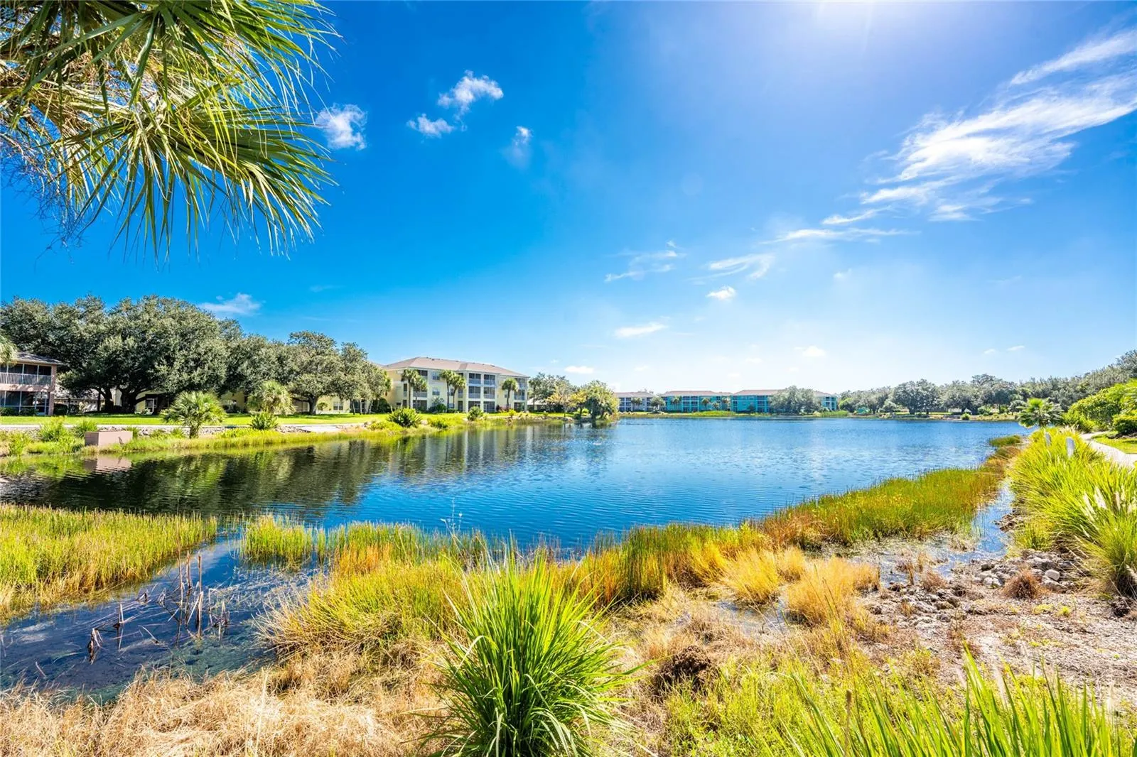 1091 LIVE OAK CIR #102, #102