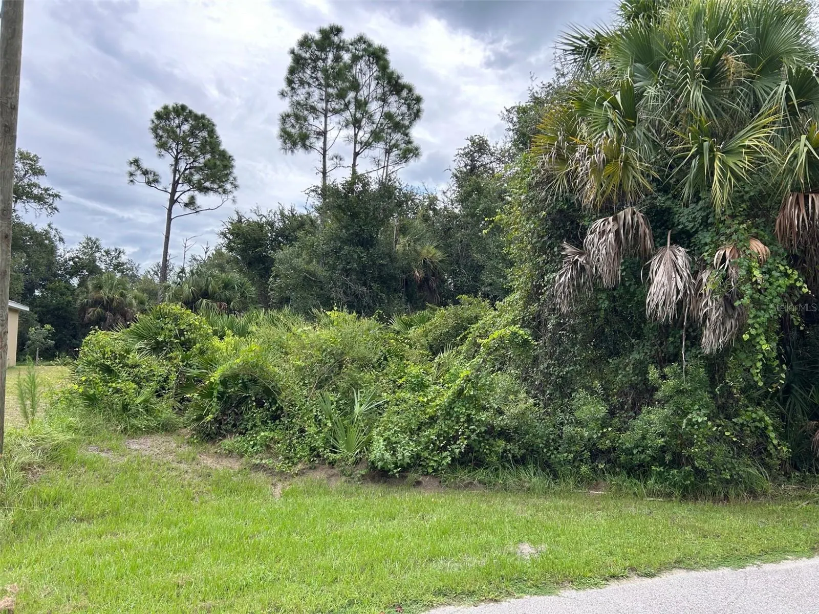 GIBBS RD
