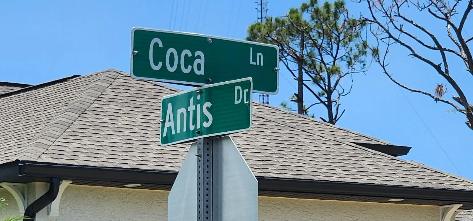 133 COCA LN