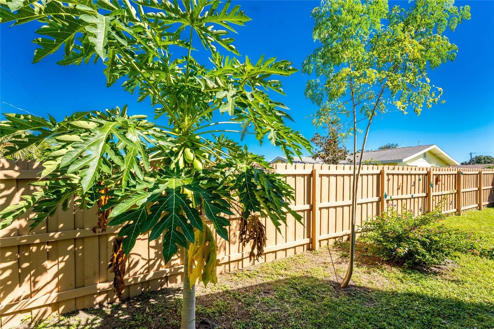 786 CARLA DR