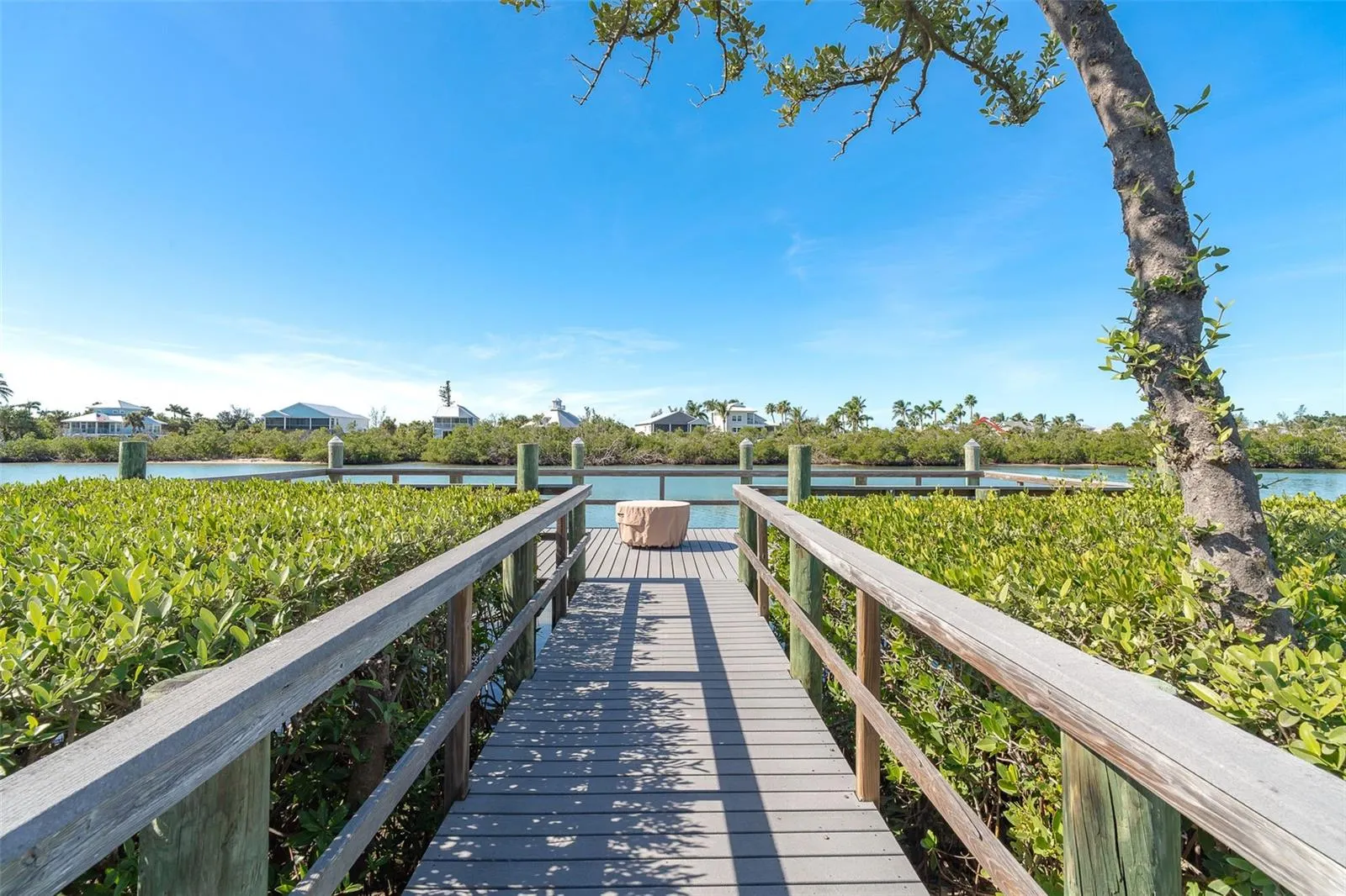 11220 HACIENDA DEL MAR BLVD #203 #203