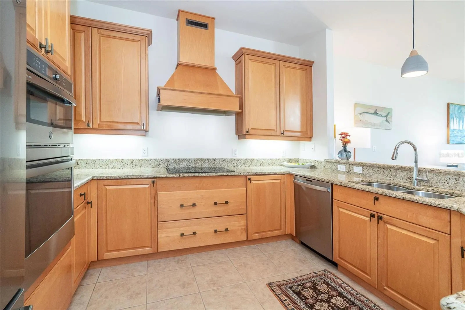 11220 HACIENDA DEL MAR BLVD #203 #203