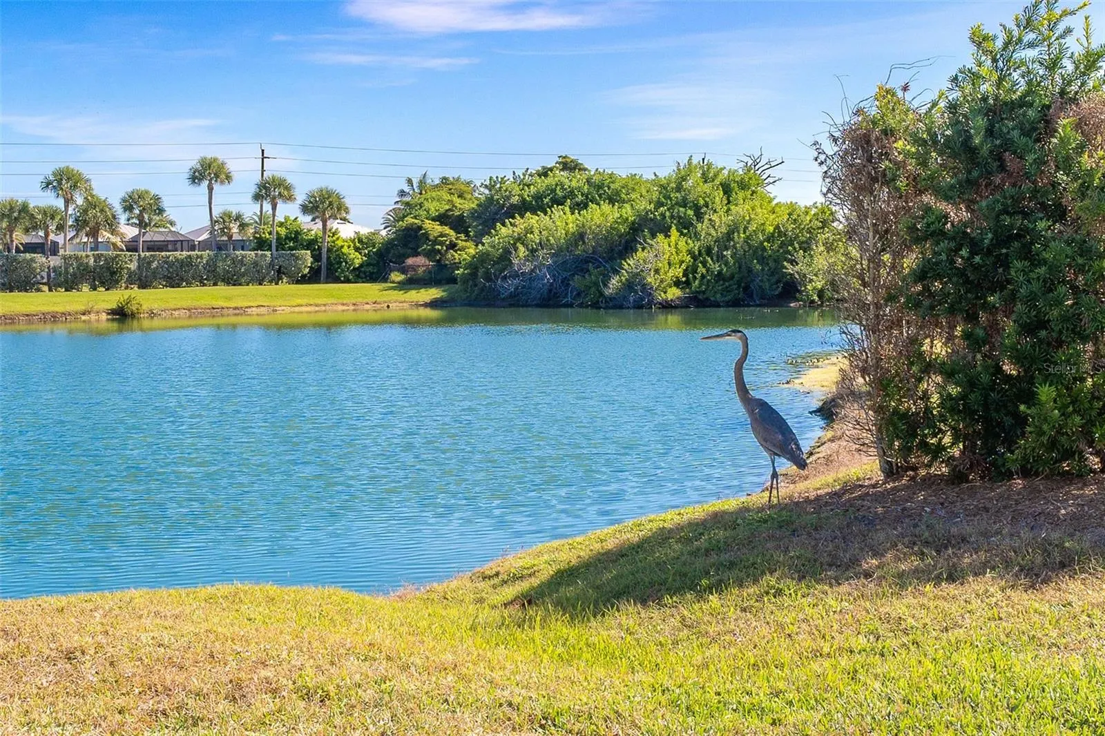 11220 HACIENDA DEL MAR BLVD #203 #203