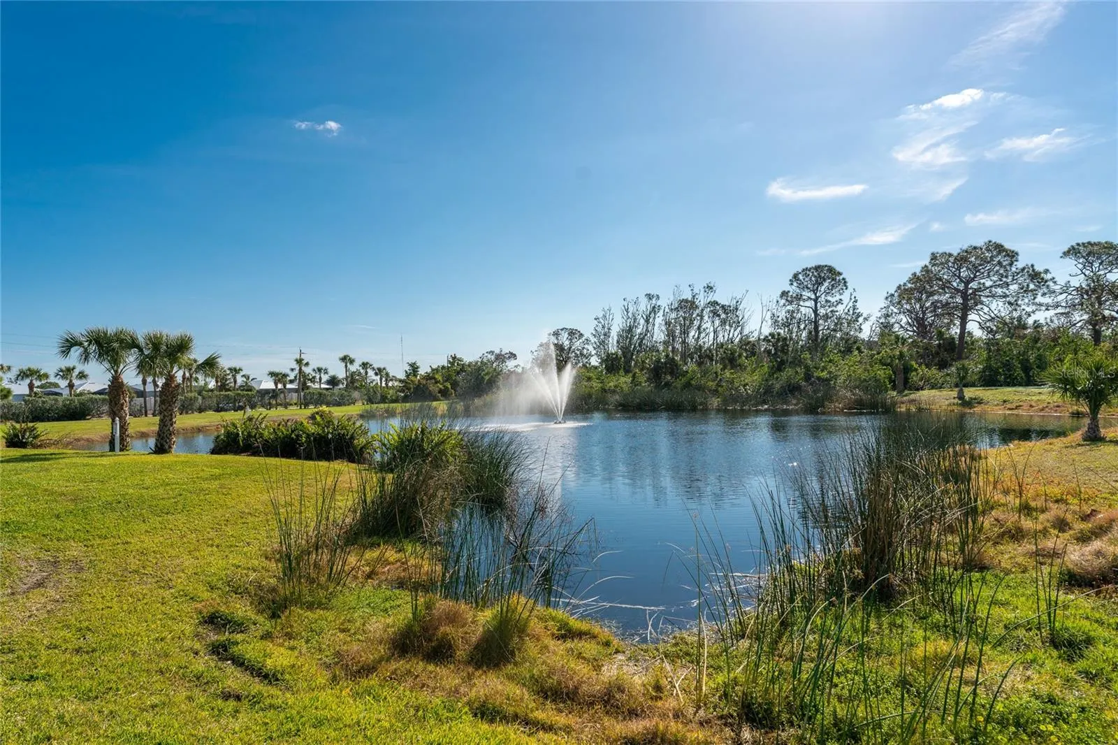 11100 HACIENDA DEL MAR BLVD #202 #202