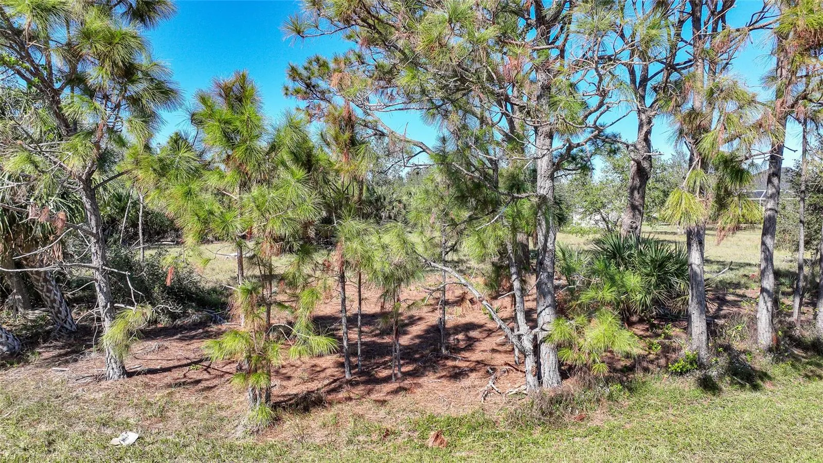 9531 & 9551 HORACE CIR
