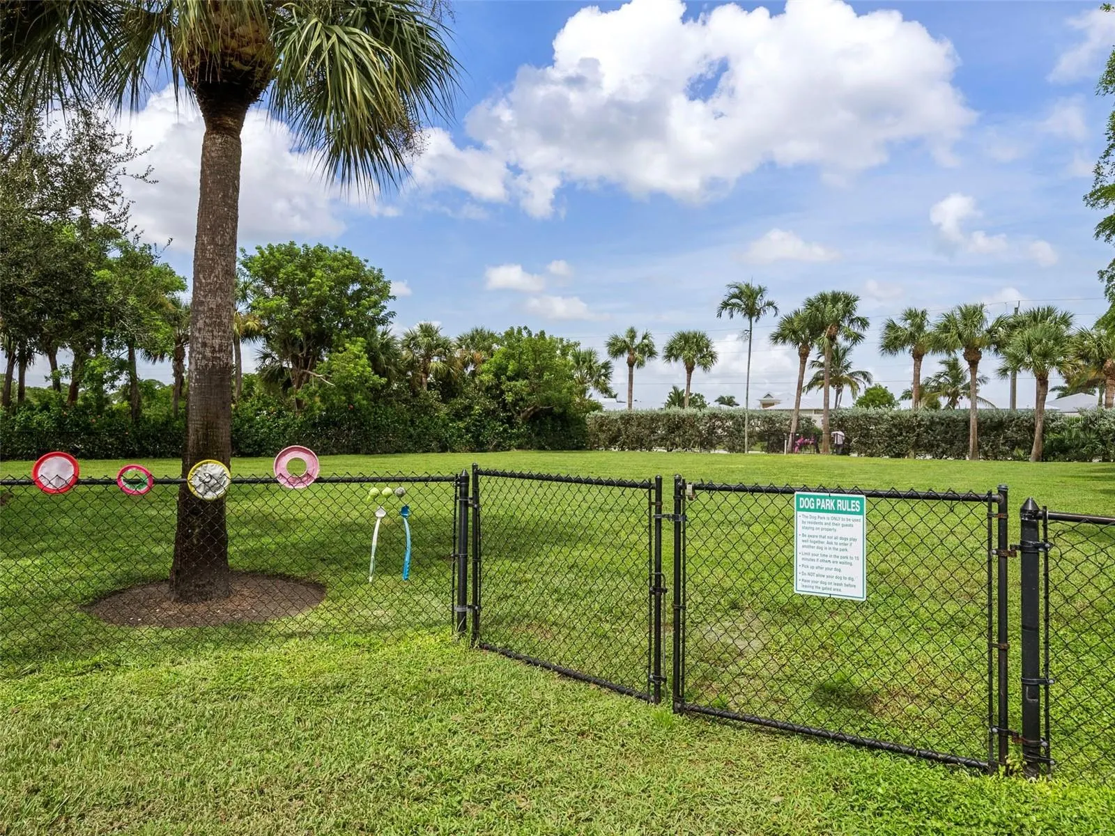 11200 HACIENDA DEL MAR BLVD #B-305 #B-305