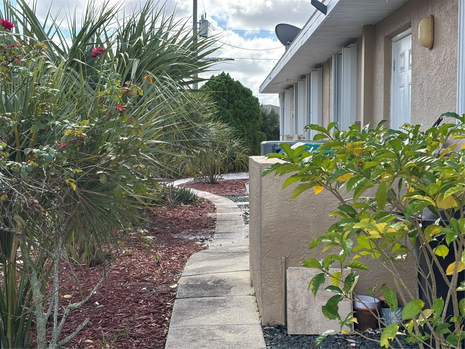 25197 CADIZ DR