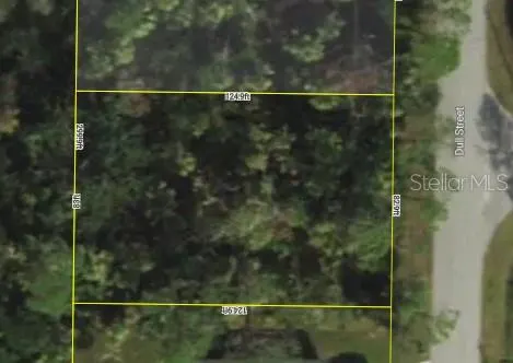 Lot 49 DULL ST
