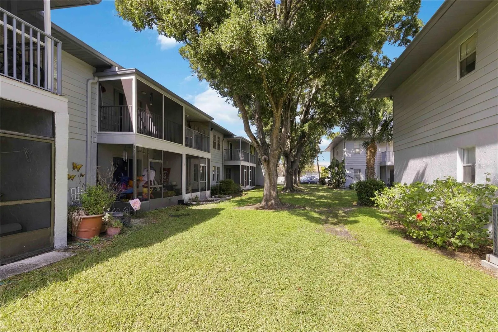 10800 US HIGHWAY 19 N #115 #115