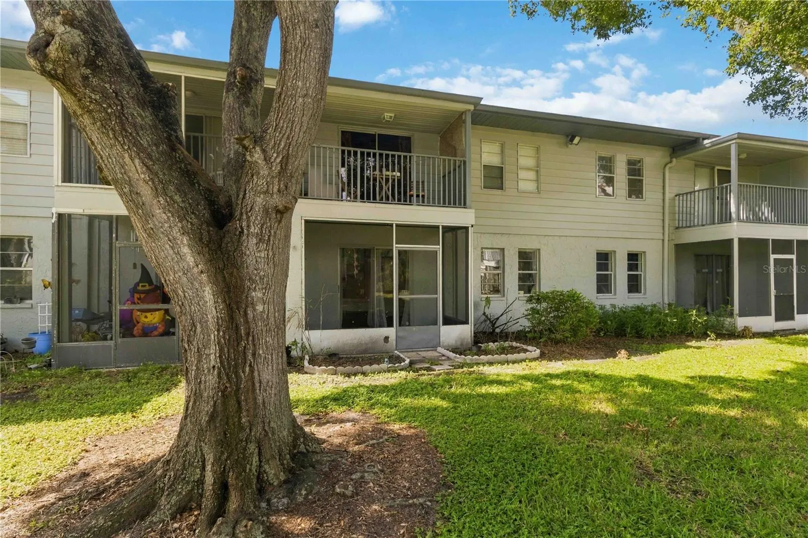 10800 US HIGHWAY 19 N #115 #115