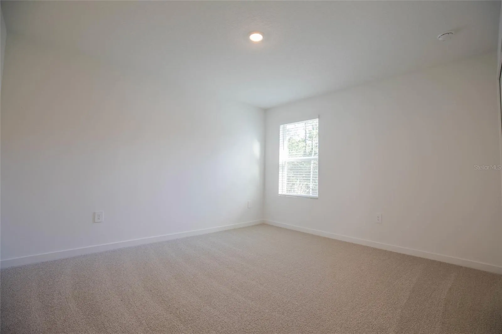 21 DILLY CT