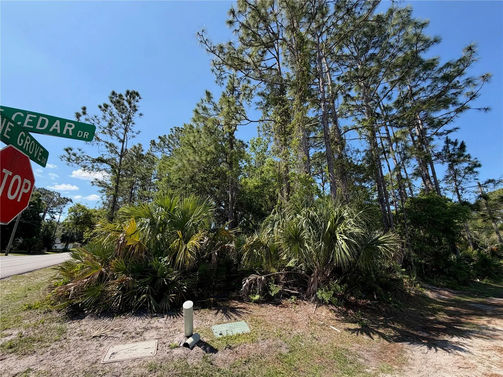 60 PINE CEDAR DR