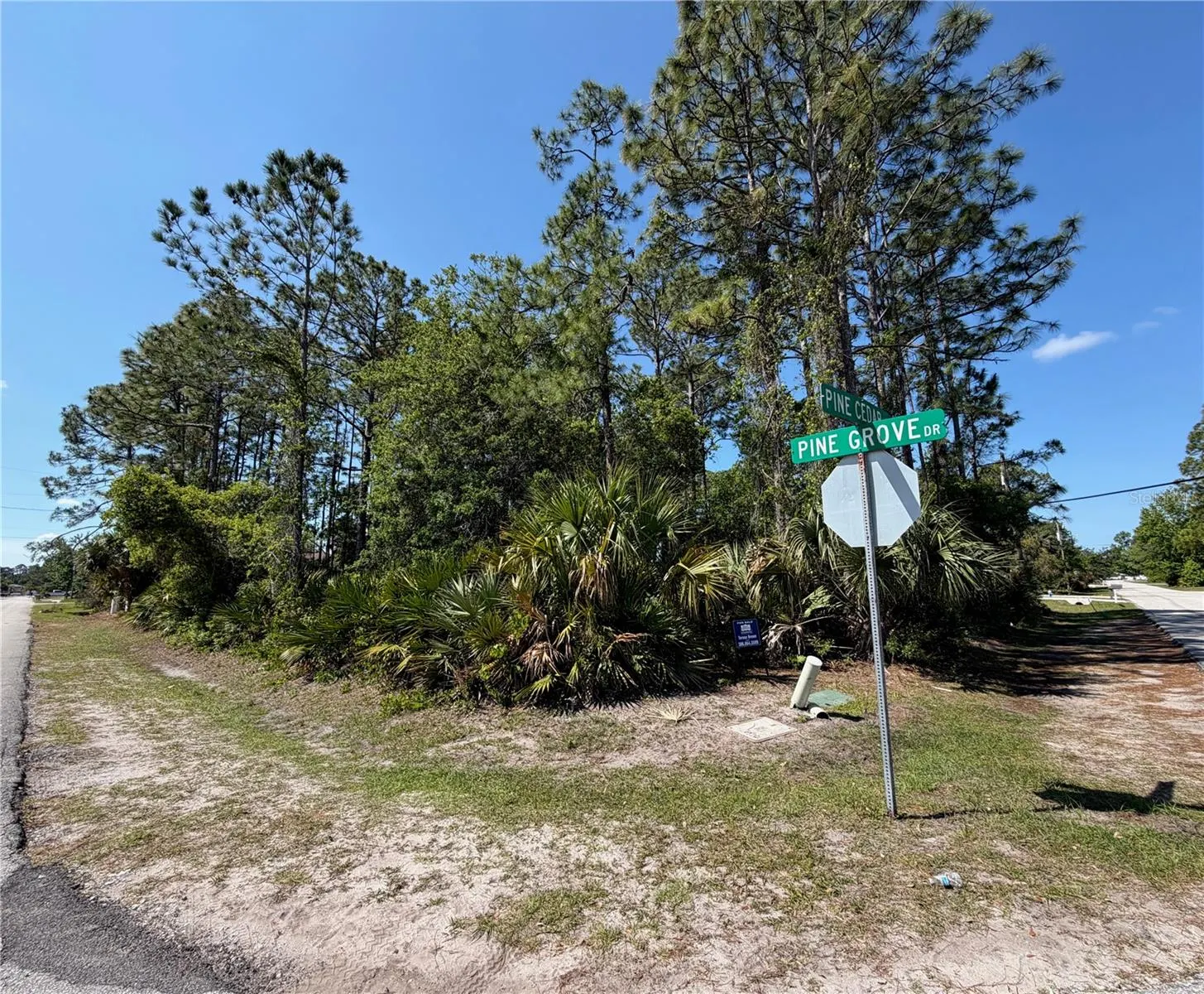 60 PINE CEDAR DR