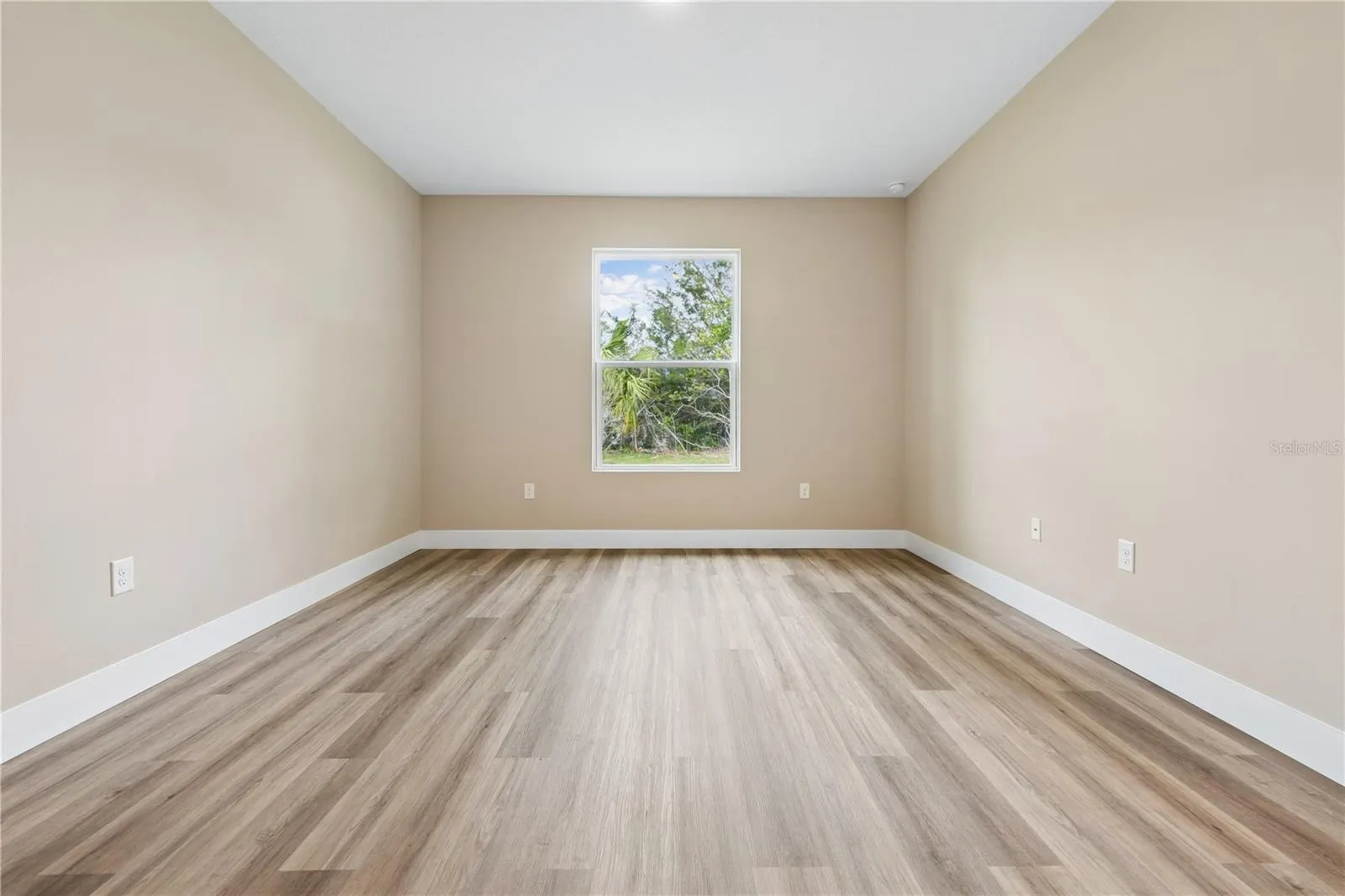 1 ZANZIBAR BALSAN CT