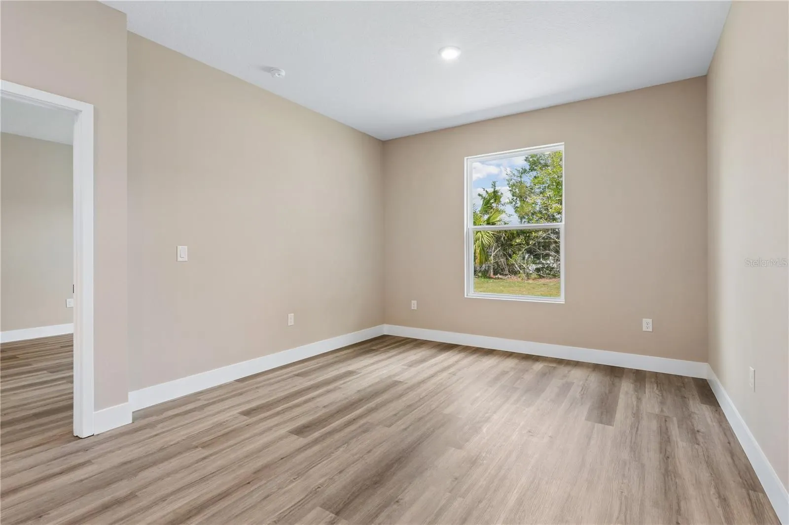 1 ZANZIBAR BALSAN CT