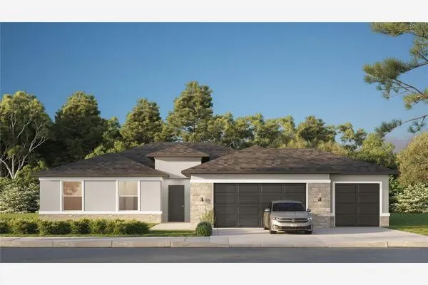 1 ZANZIBAR BALSAN CT