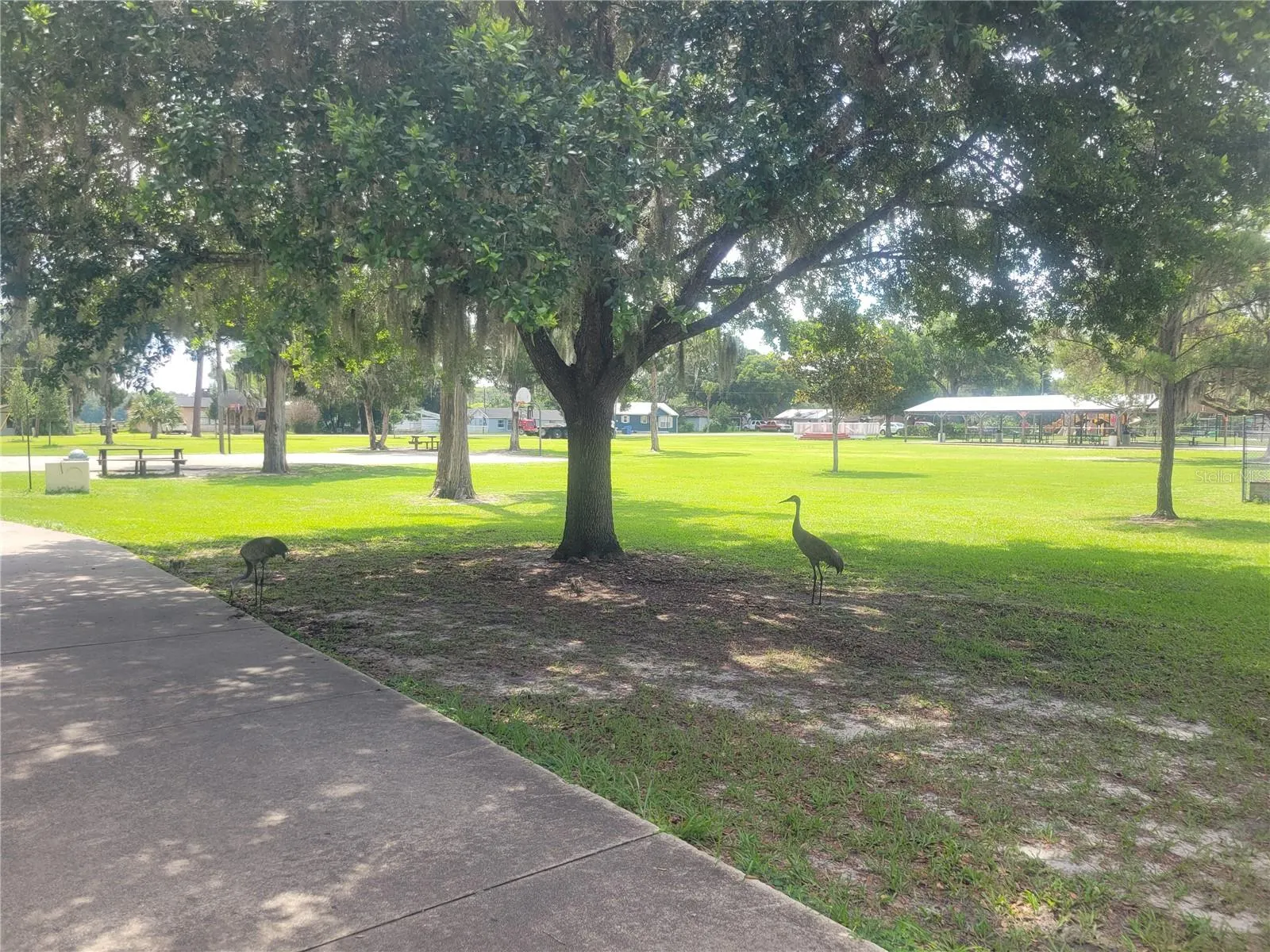 S LAKEVIEW DR