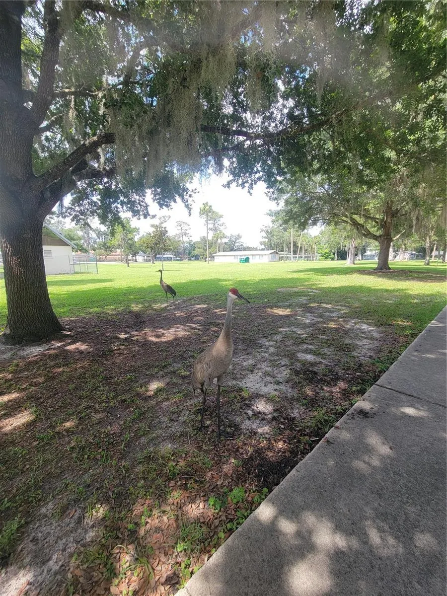S LAKEVIEW DR