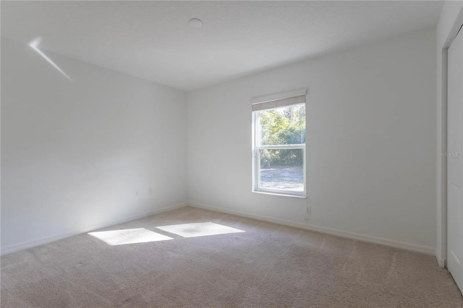 21 WHETSTONE LN