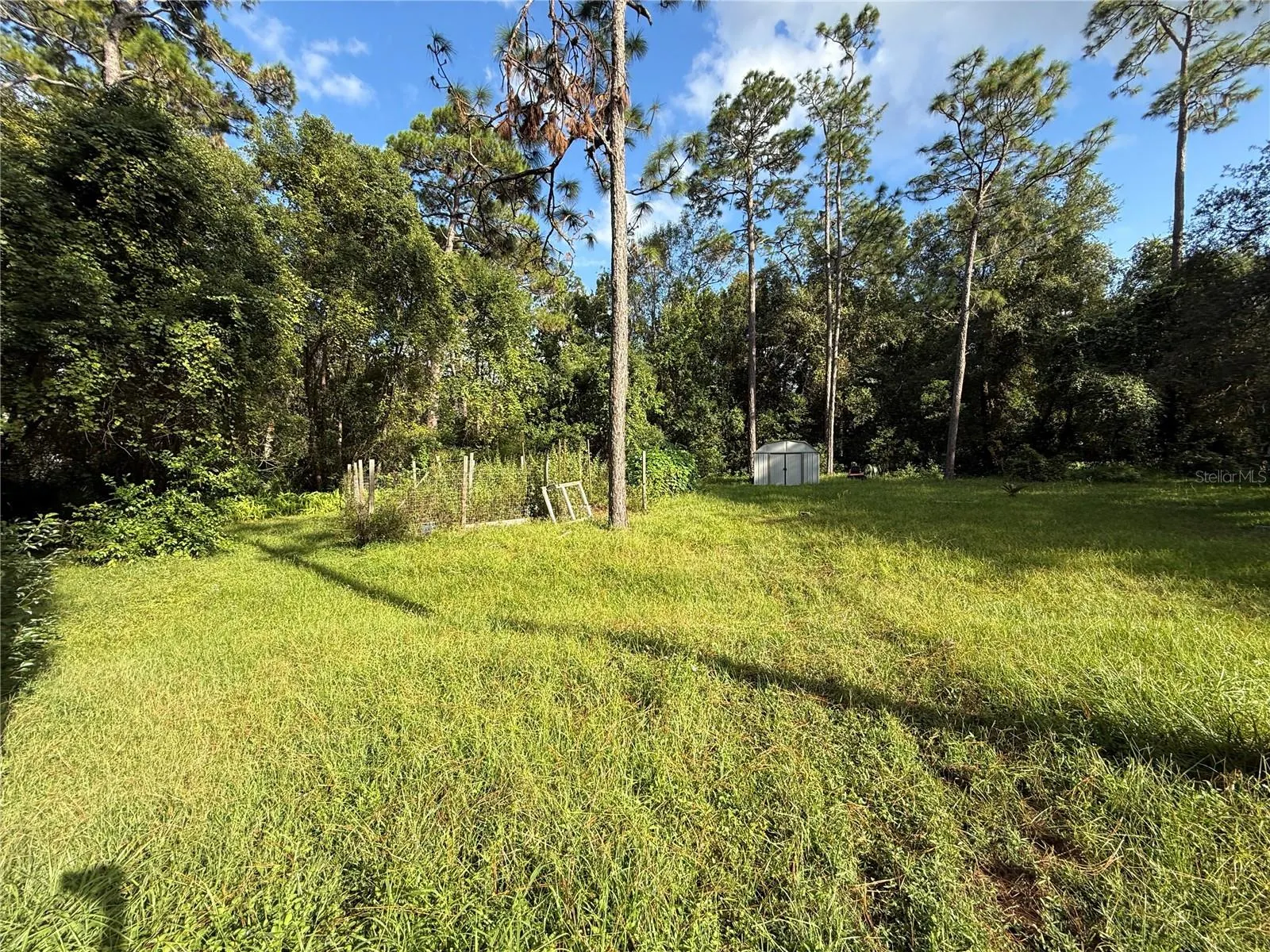 38510 COUNTY ROAD 439