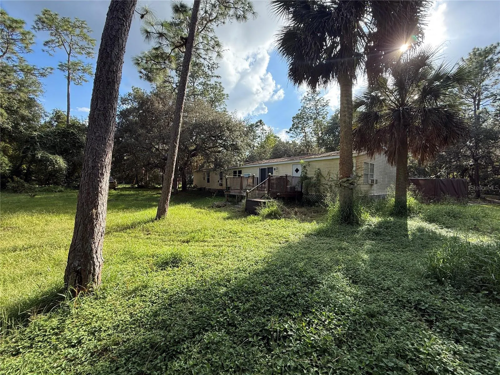 38510 COUNTY ROAD 439