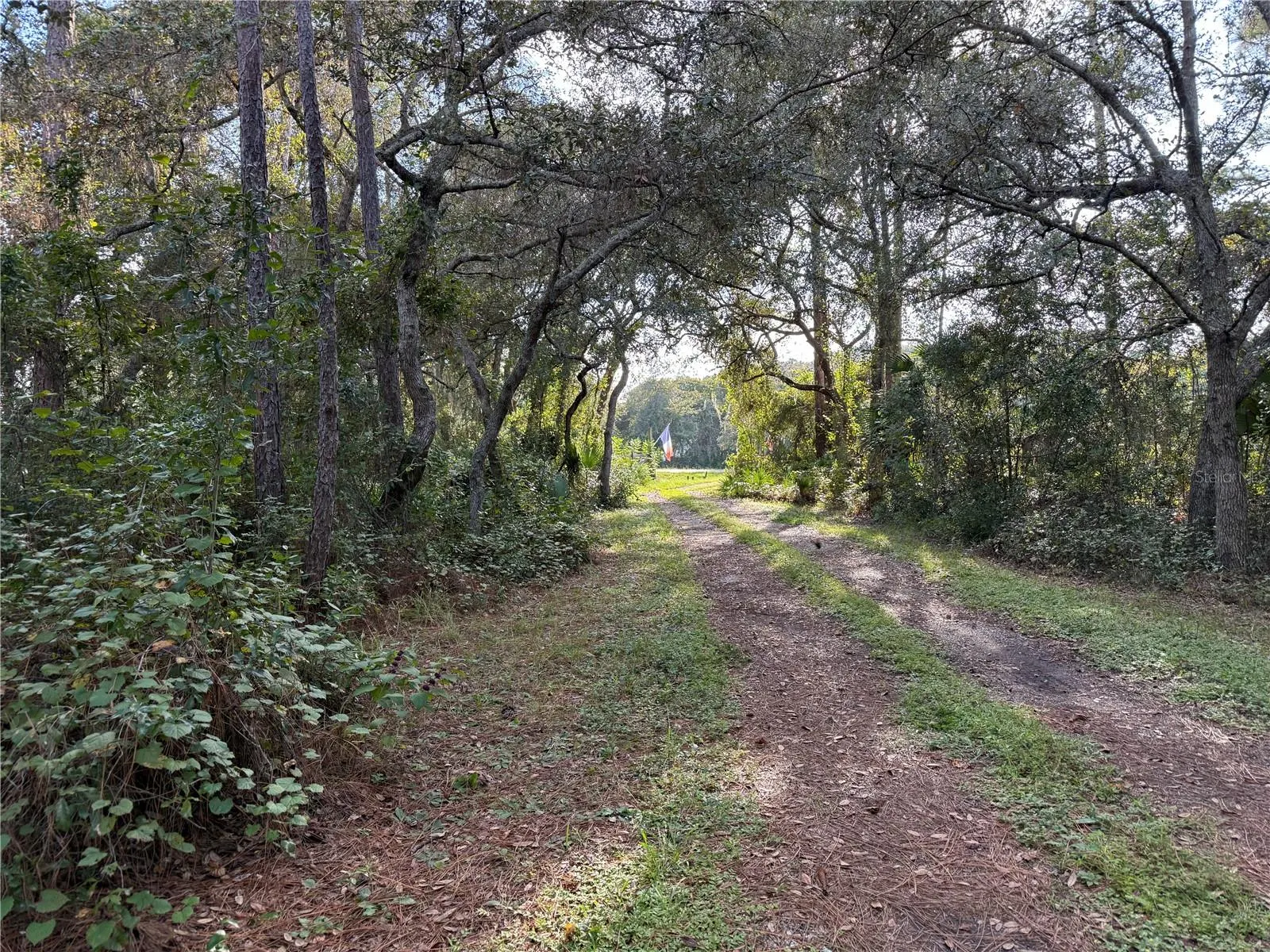 38510 COUNTY ROAD 439
