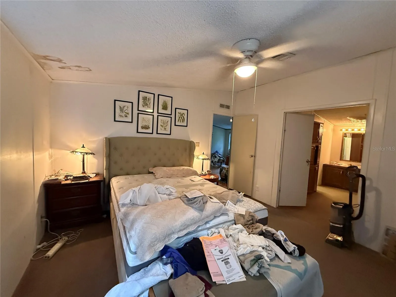 38510 COUNTY ROAD 439