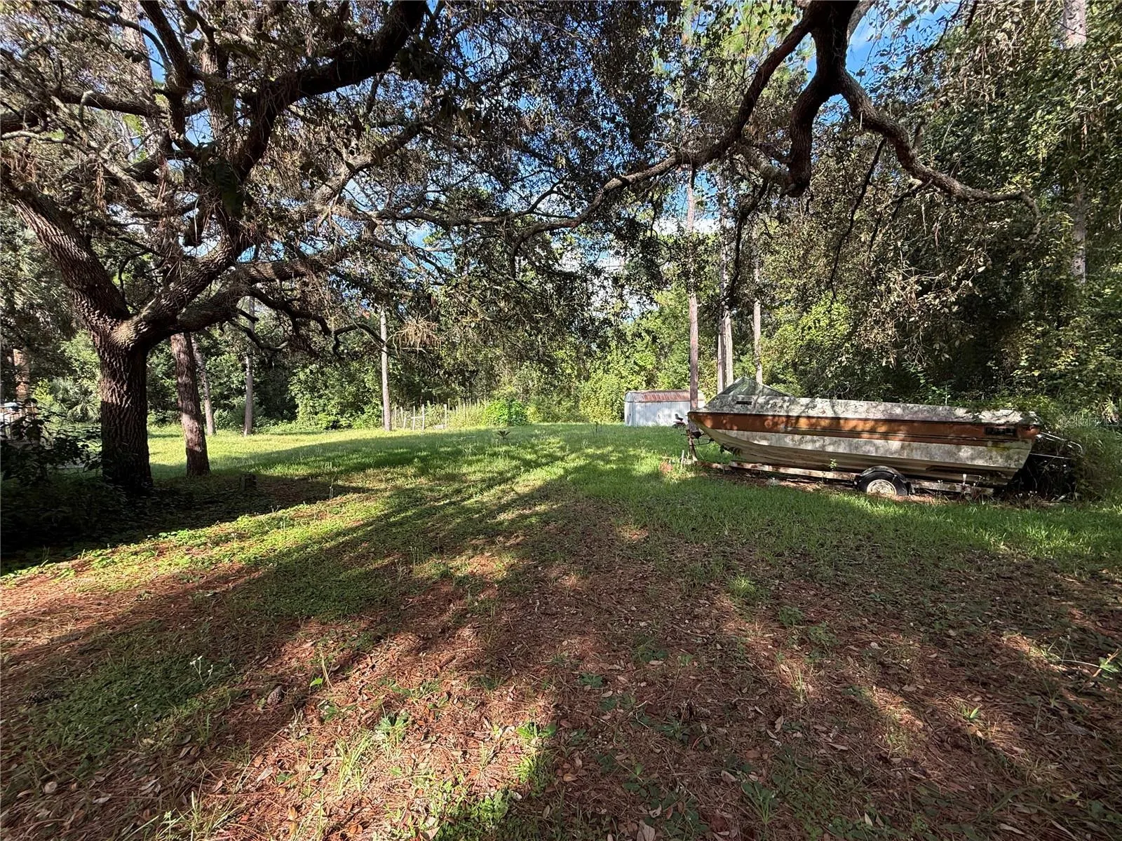 38510 COUNTY ROAD 439