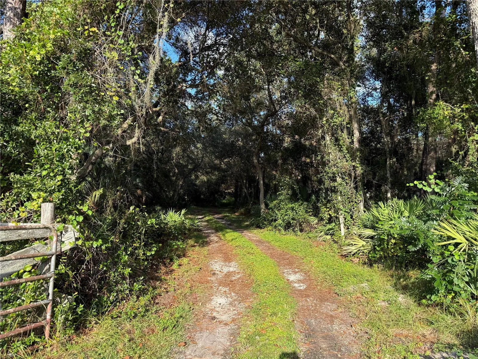 38510 COUNTY ROAD 439