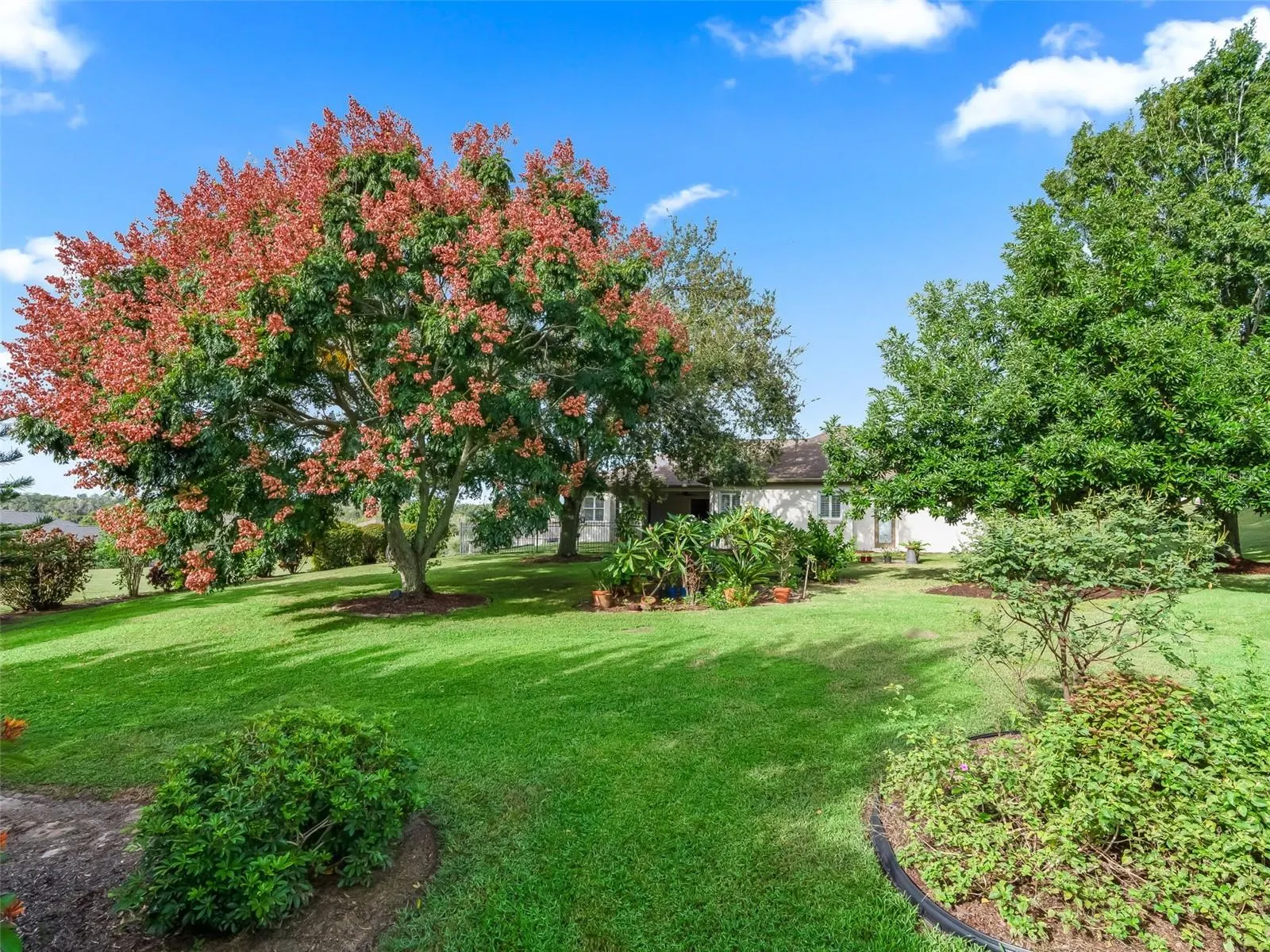 31324 SUNNY MEADOW CT