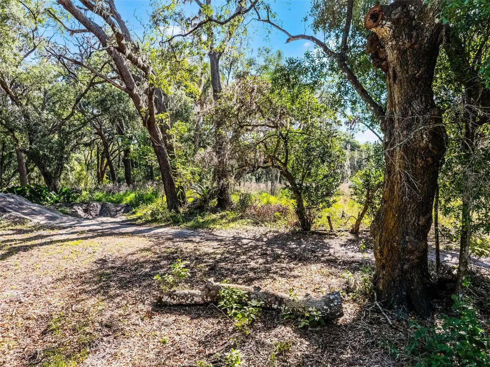 3633 PANTHER PATH RD