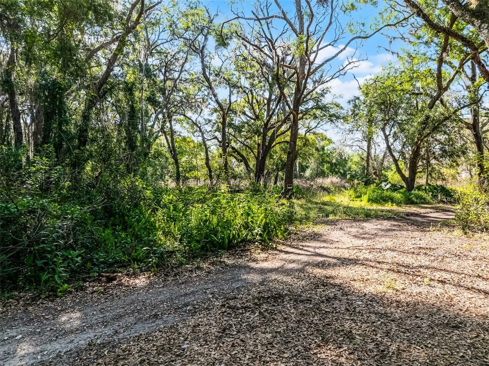 3633 PANTHER PATH RD