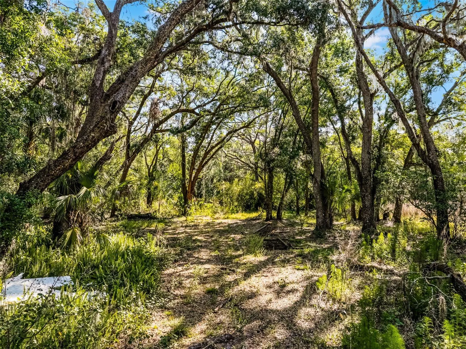 3633 PANTHER PATH RD