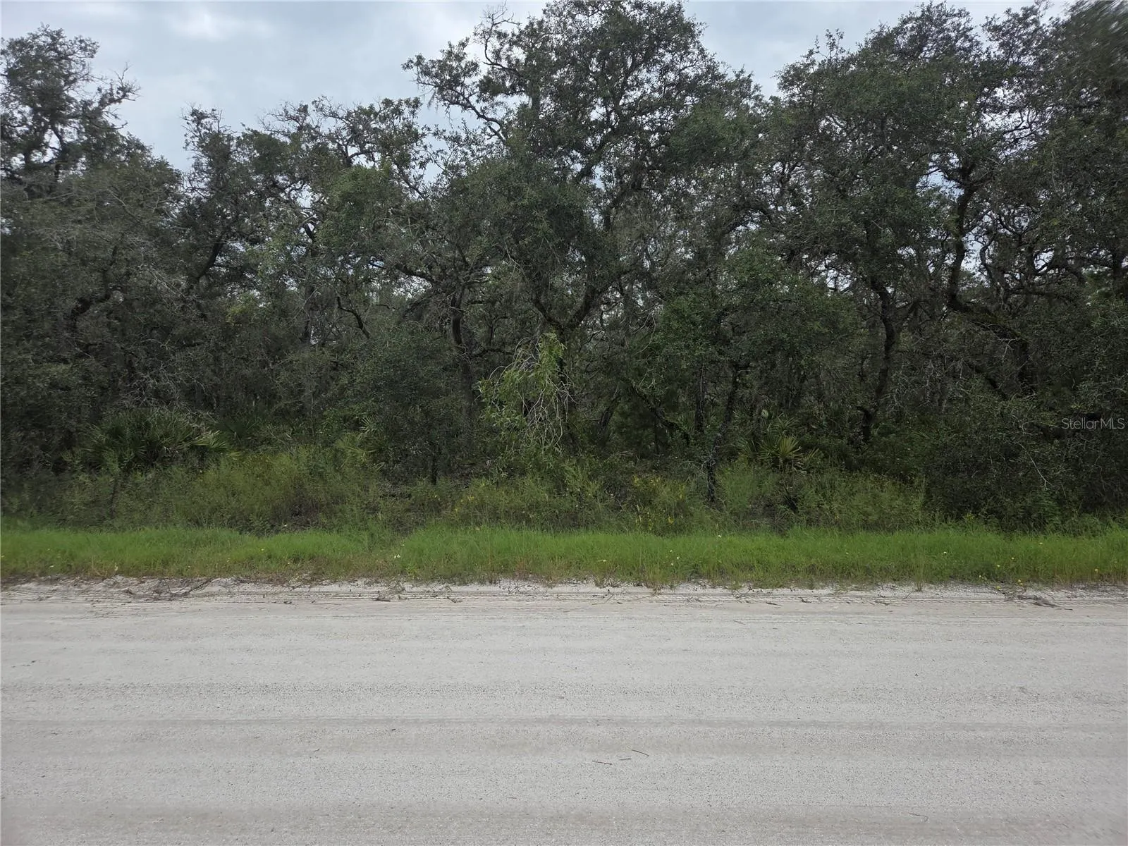 2912 SAND PINE TRL
