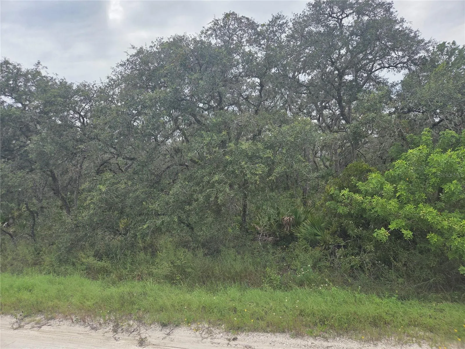2912 SAND PINE TRL
