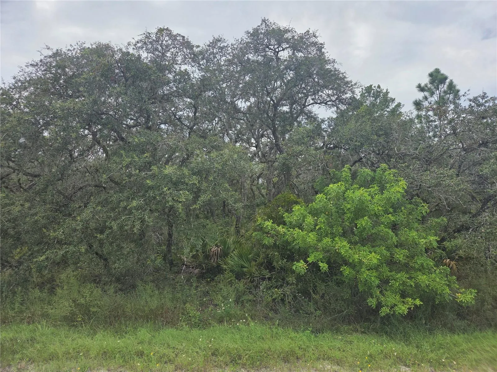 2912 SAND PINE TRL