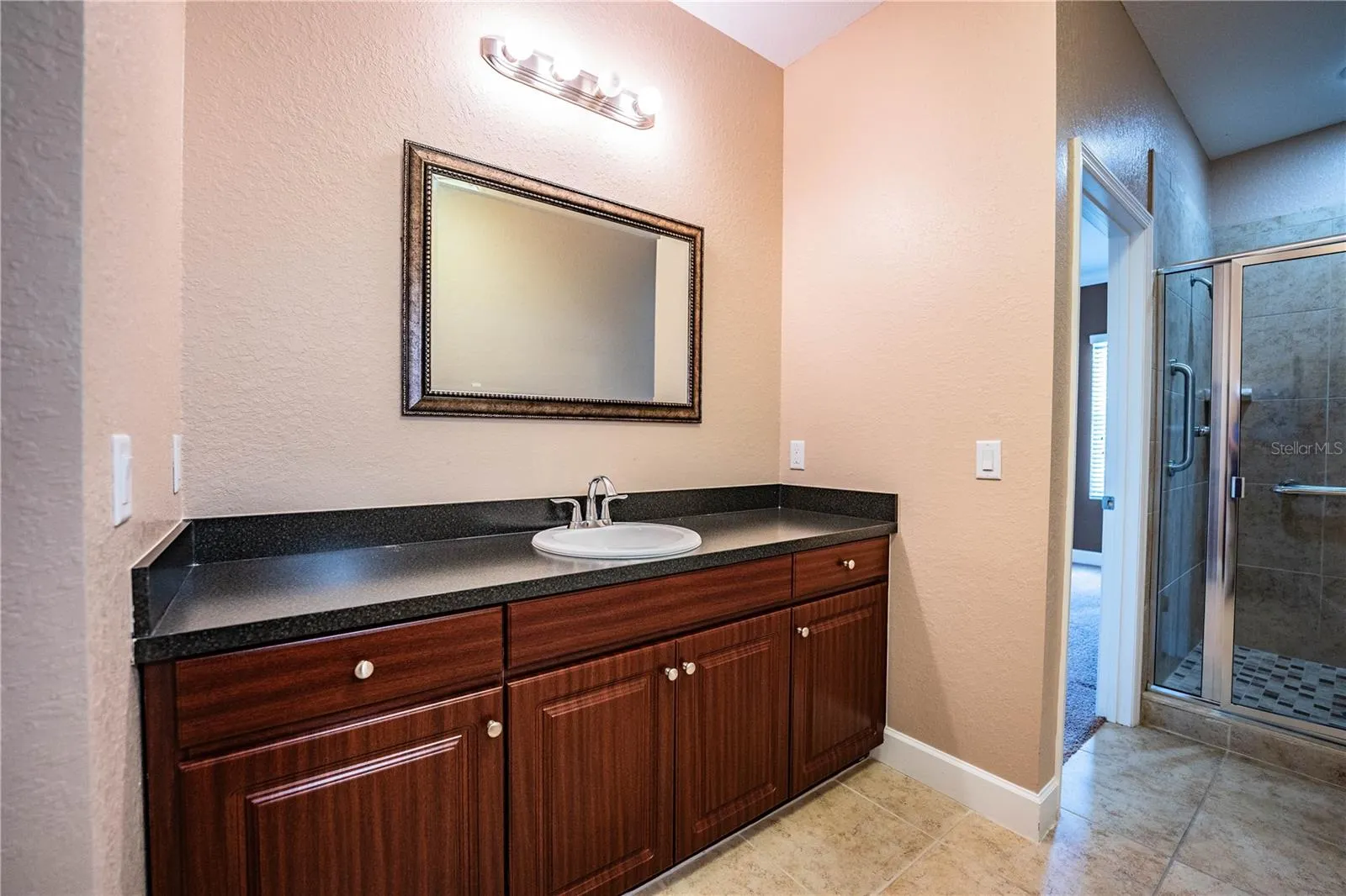 253 ALEXANDER WOODS DR
