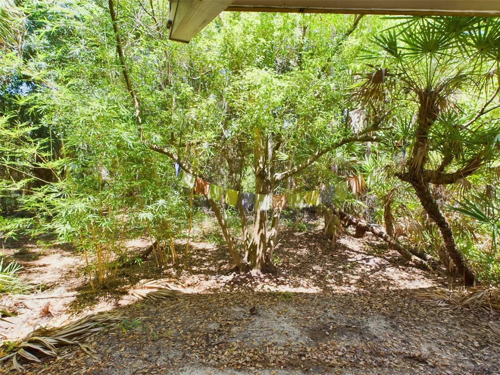 2907 MARION WAY #2907, #2907