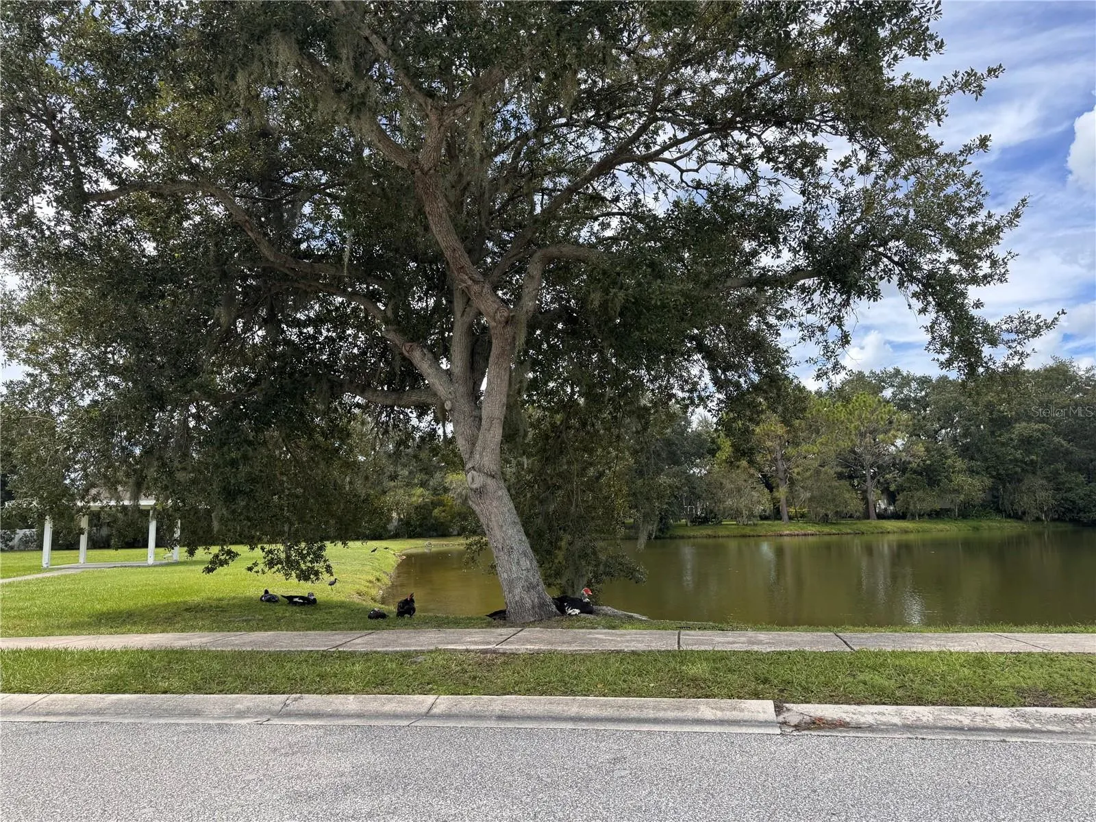 3355 SANOMA DR